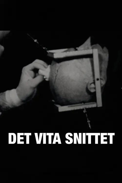 Det vita snittet
