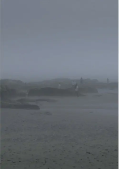 The Fog Has Covered The Moment Again