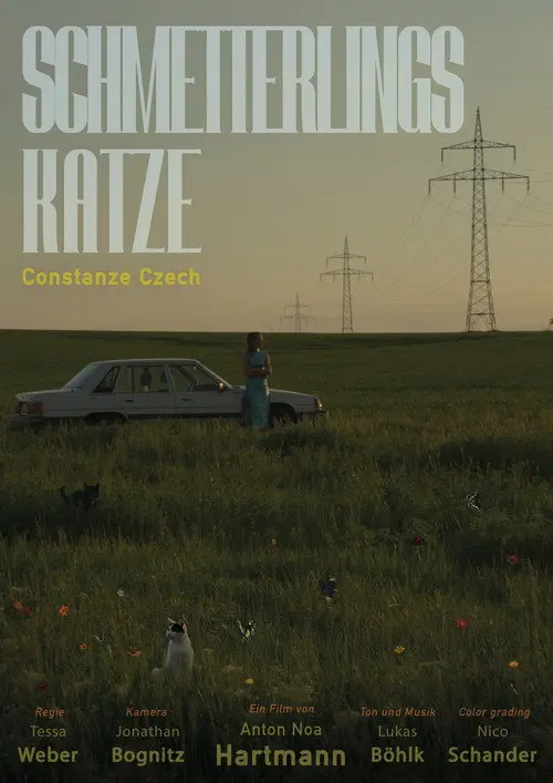 Schmetterlingskatze