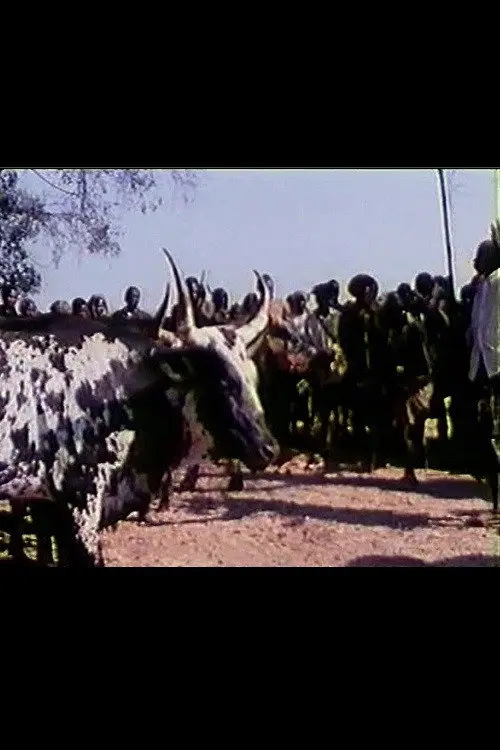 Feast of the Sacred Ox
