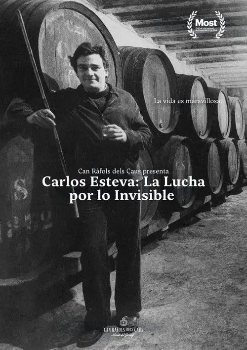 Carlos Esteva: the fight for the invisible