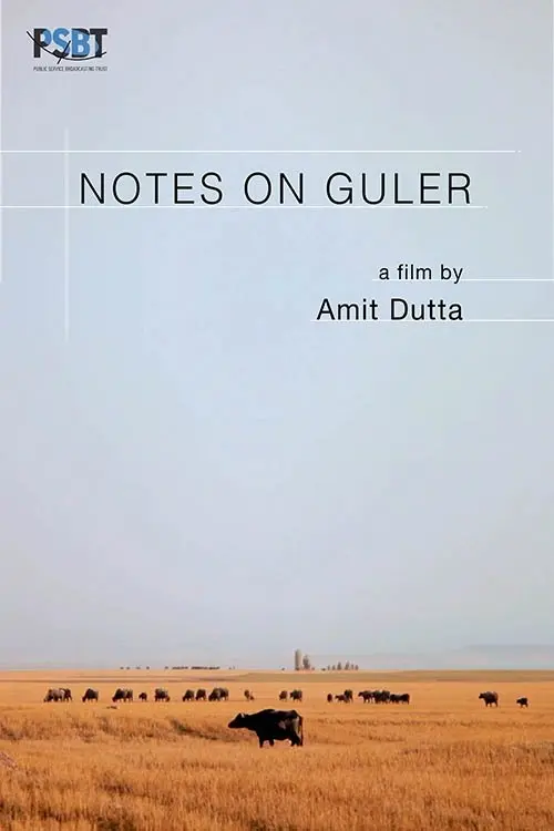 Notes on Guler