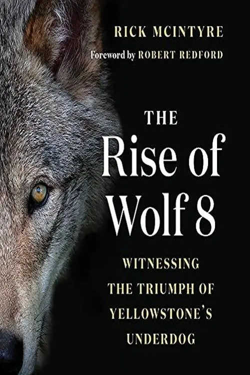 The Alpha Wolves of Yellowstone