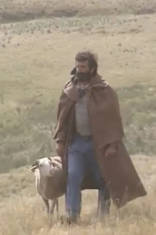Shepherd and beyond