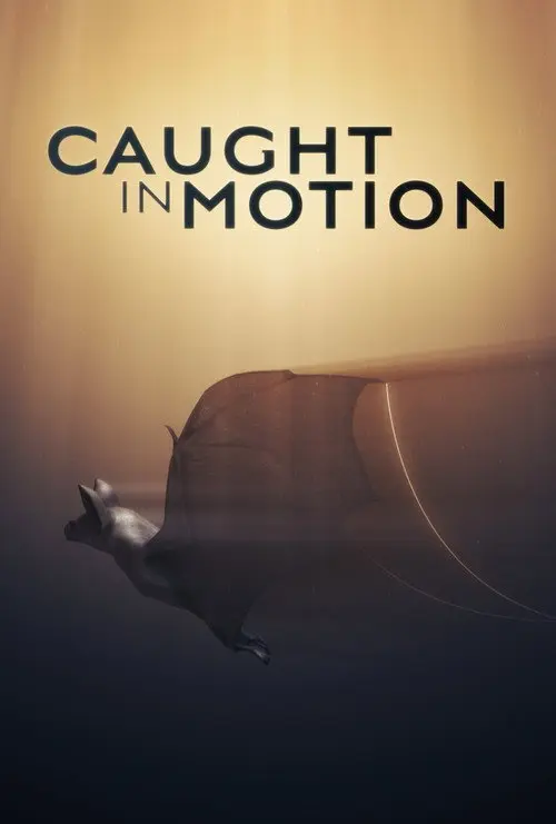 Caught in Motion