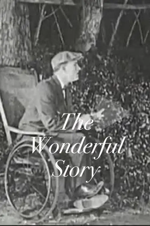 The Wonderful Story