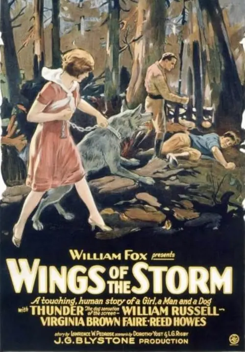 Wings of the Storm