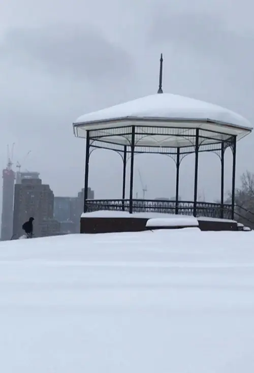 After a snowstorm