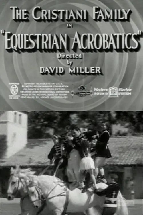 Equestrian Acrobats