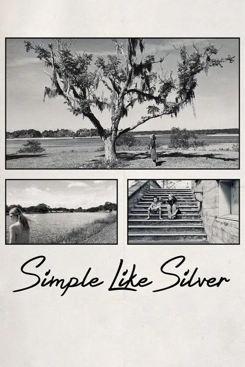 Simple Like Silver