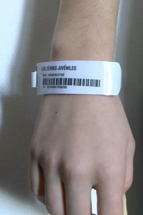 Les Zèbres Juvéniles