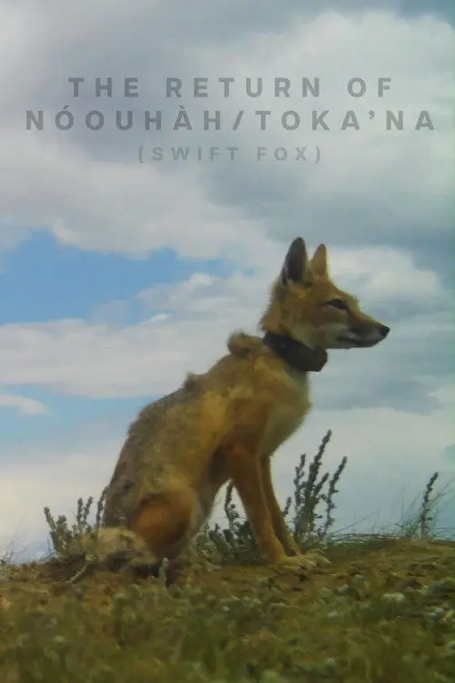 The Return of Nóouhàh-Toka’na