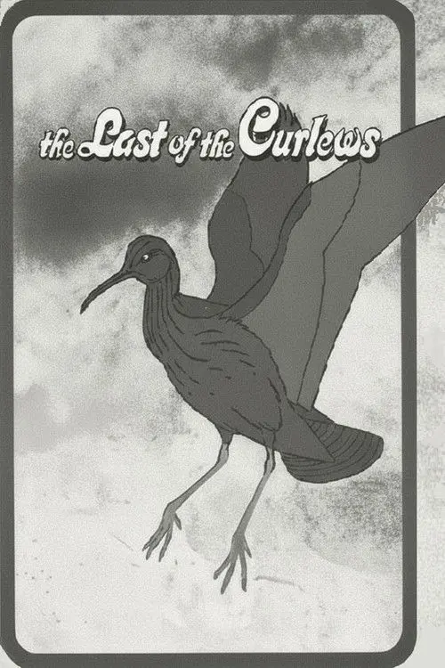 The Last of the Curlews