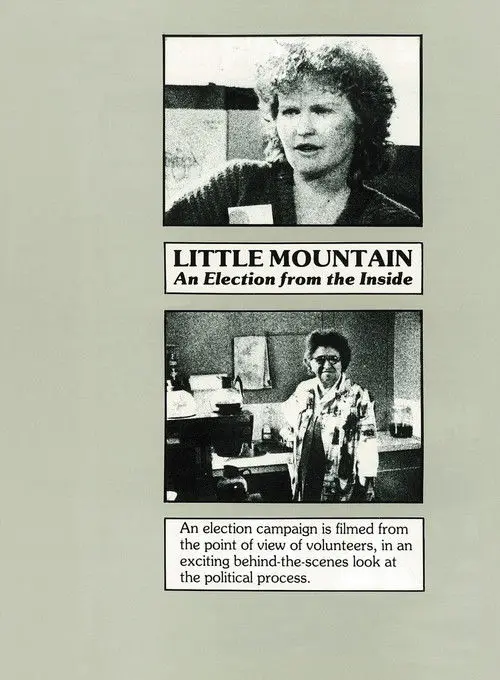Little Mountain: An Election from the Inside