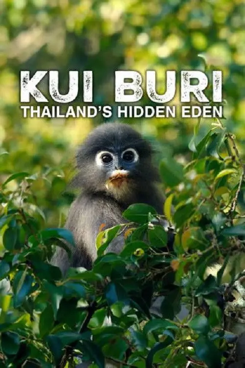 Kui Buri: Thailand's Hidden Eden