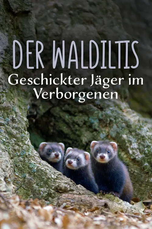 Polecat – Europe’s Relentless Hunter