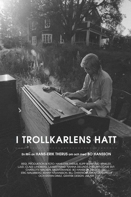 I Trollkarlens hatt