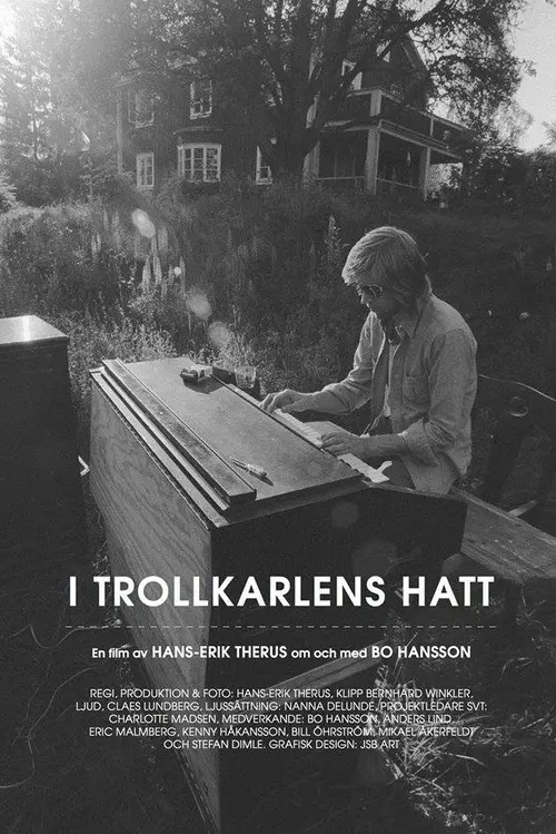 I Trollkarlens hatt