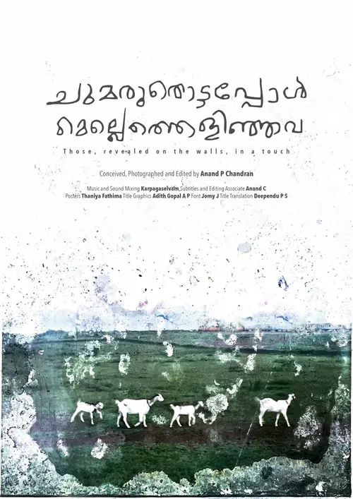 Those, revealed on the walls, in a touch