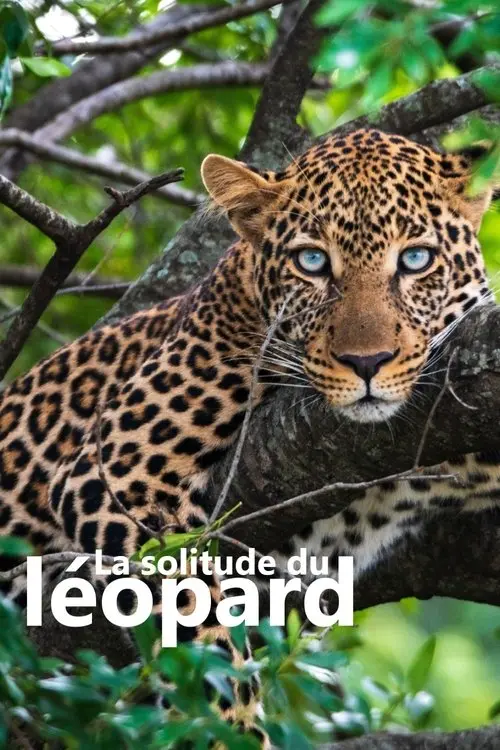 La solitude du léopard