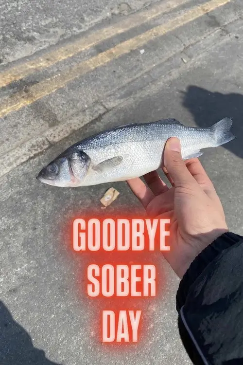 Goodbye Sober Day