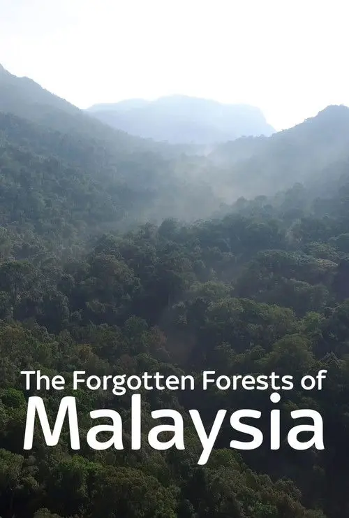 The Forgotten Forests of Malaysia