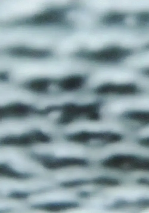 The Wind