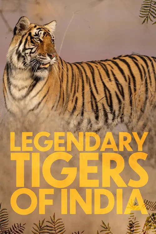 Legendary Tigers of India