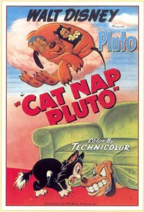 Cat Nap Pluto