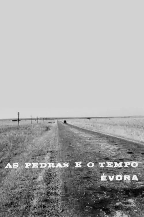 As Pedras e o Tempo