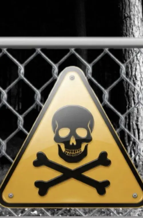 Influencer into the woods