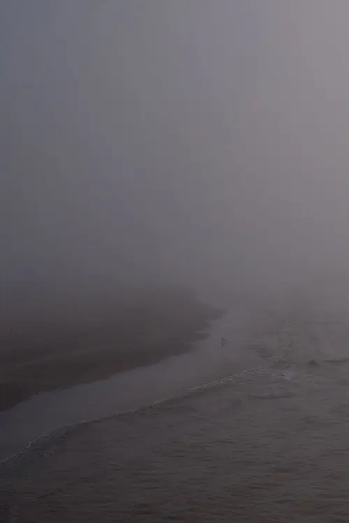 Niebla