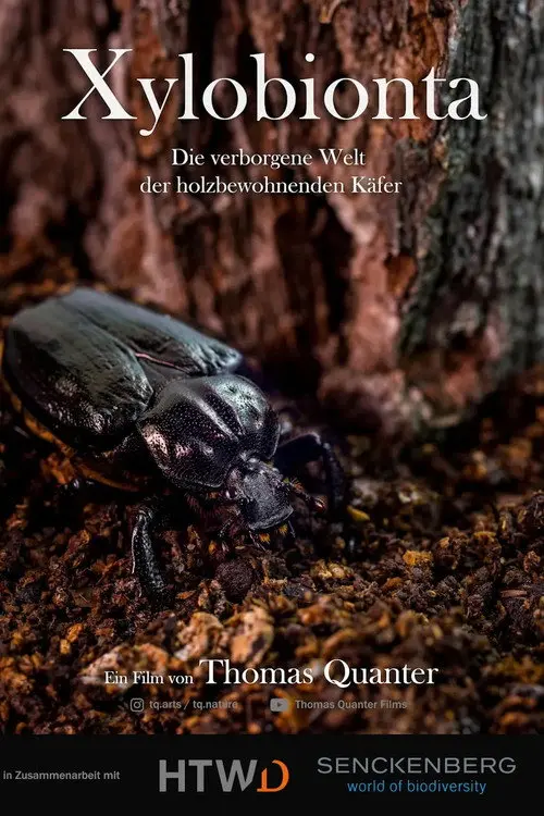 Xylobionta - die verborgene Welt der holzbewohnenden Käfer