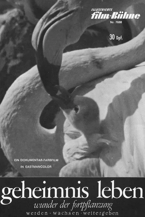 Geheimnis Leben - Wunder der Fortpflanzung