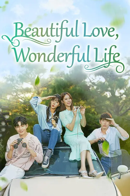 Beautiful Love, Wonderful Life