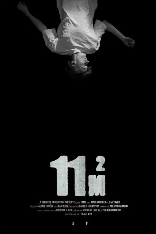 11m2