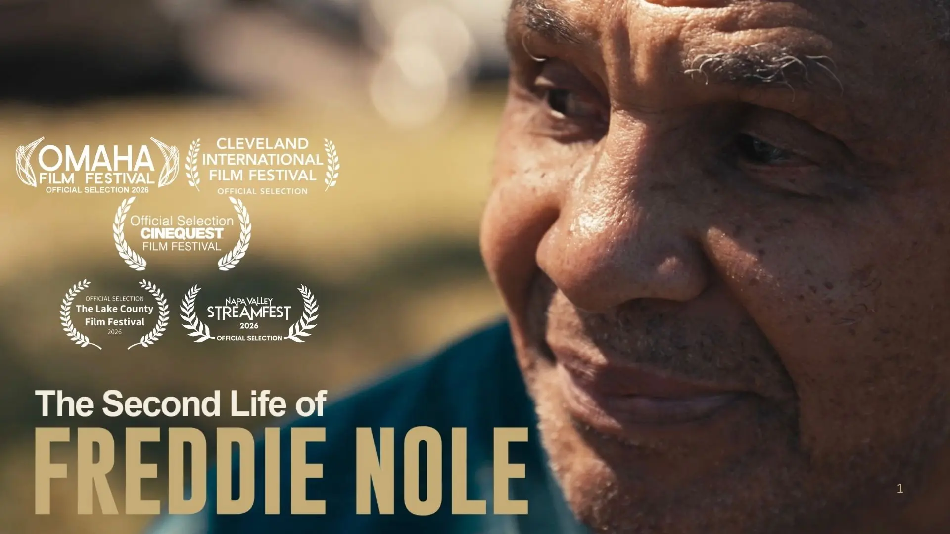 The Second Life of Freddie Nole backdrop