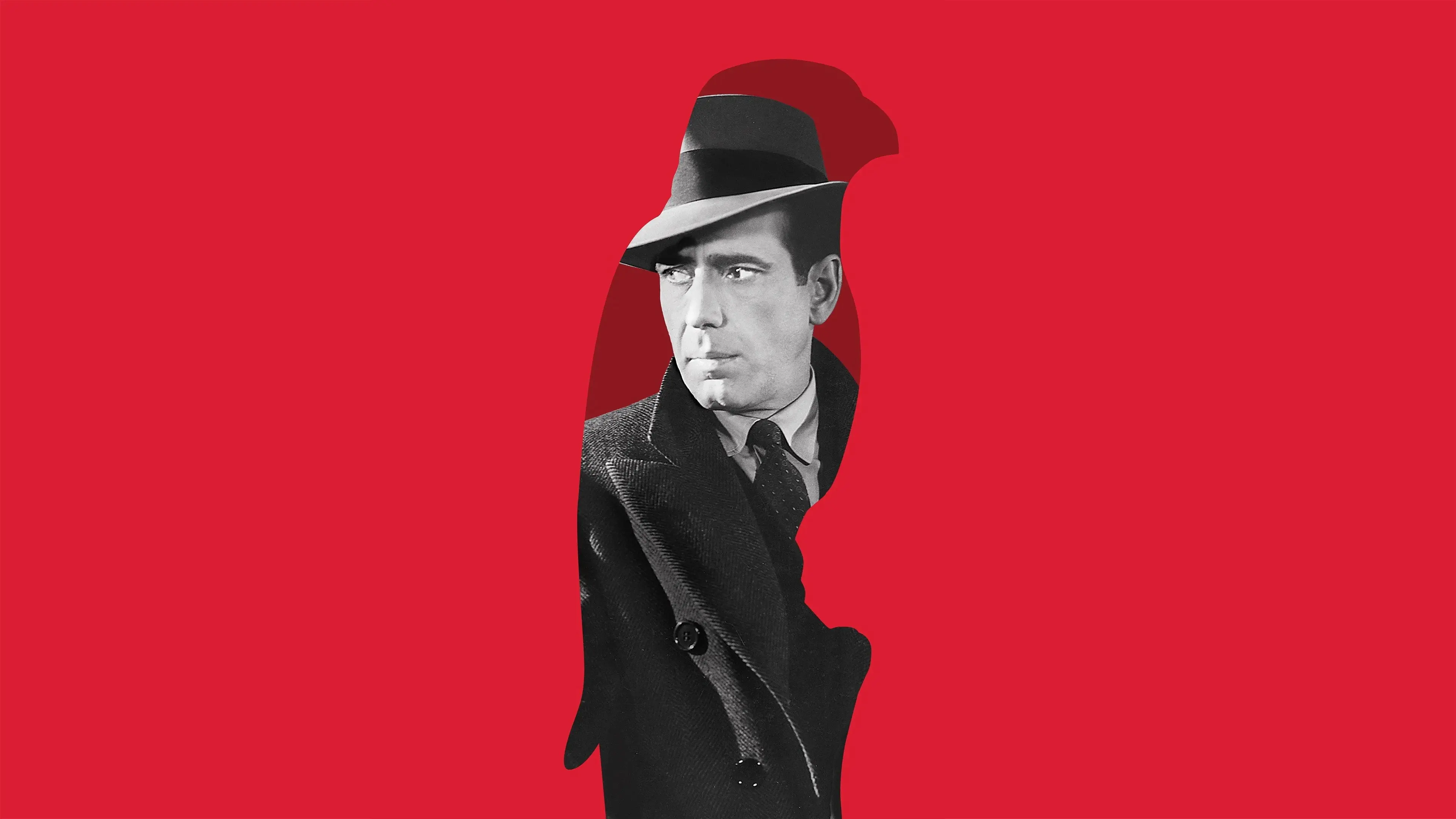 The Maltese Falcon backdrop
