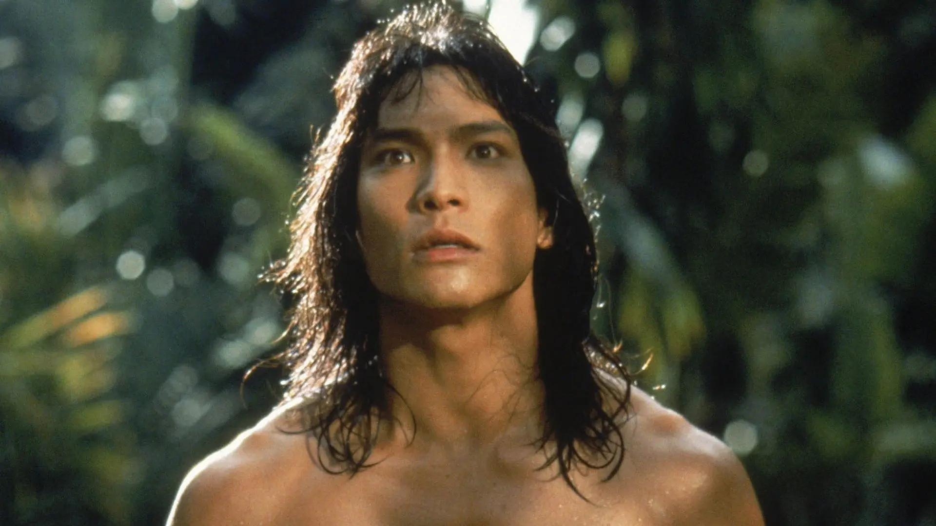 The Jungle Book backdrop