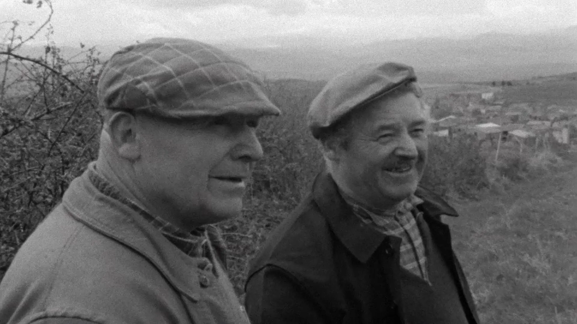 The Sorrow and the Pity backdrop