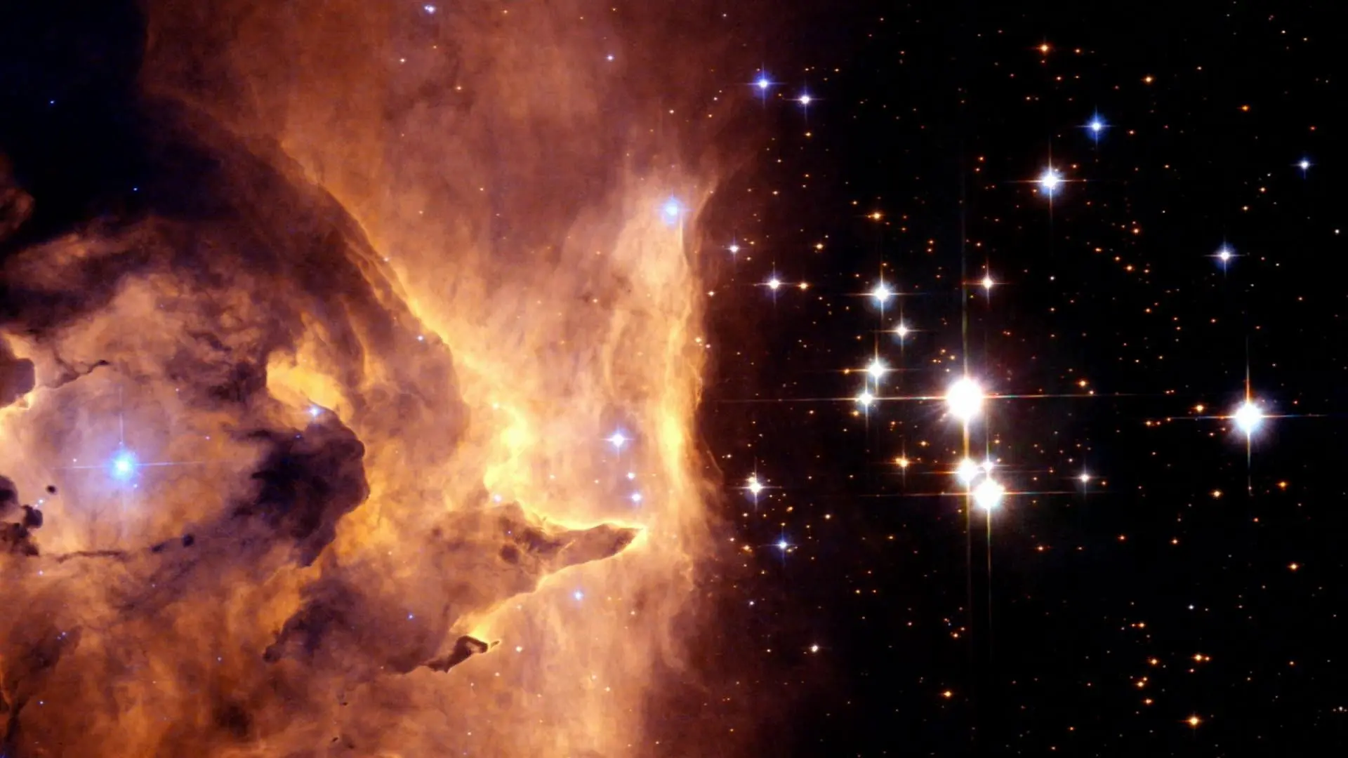 Eyes on the Skies backdrop