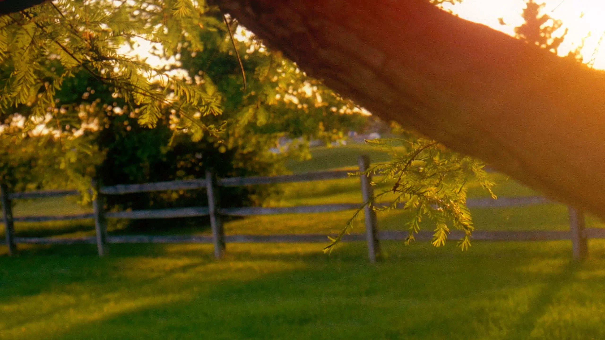 Milestone No. 2 backdrop