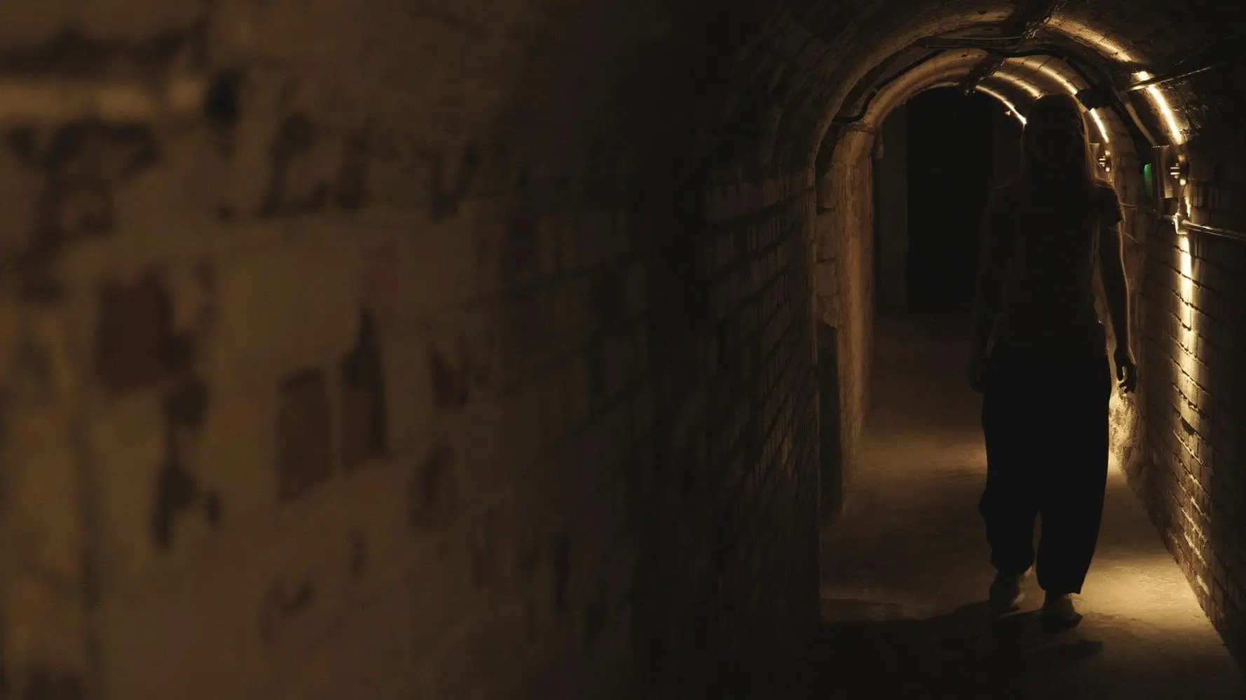 The Cellar backdrop