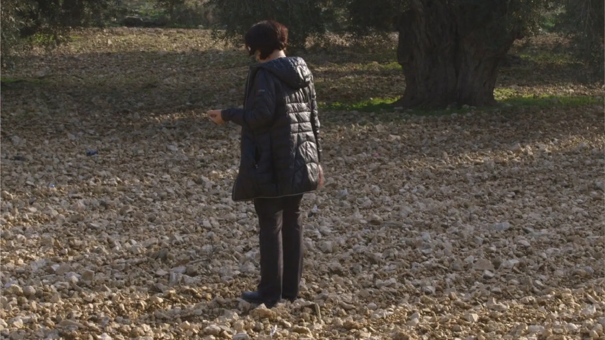 Something from There backdrop