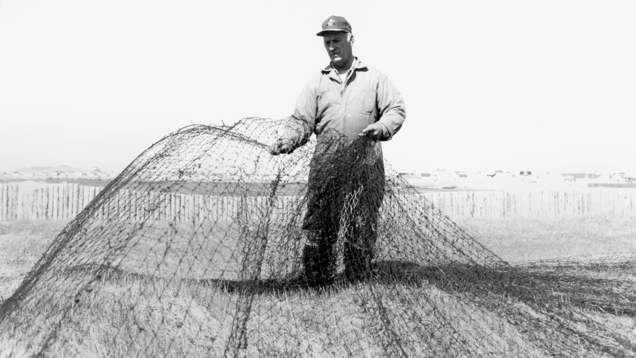 Taking Stock backdrop