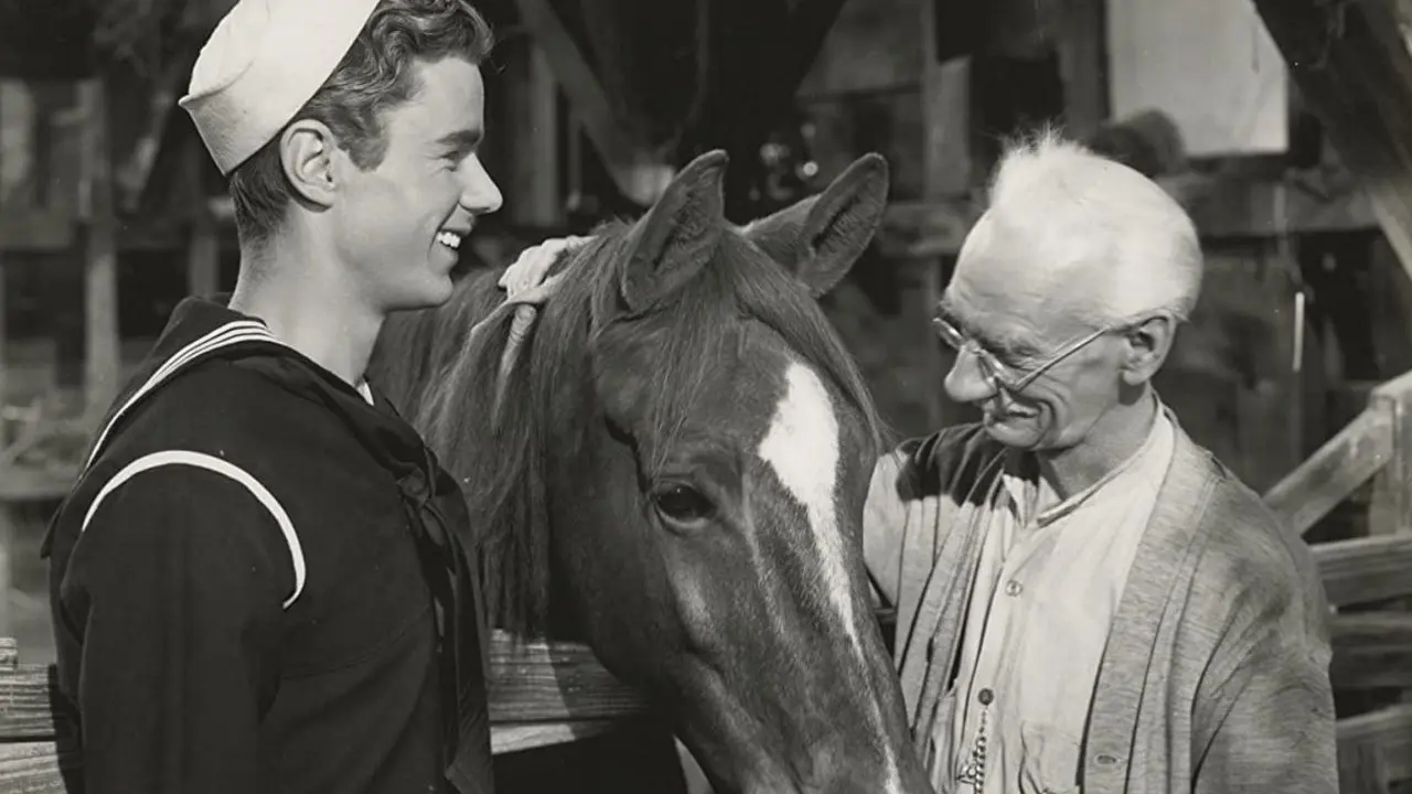 Gallant Bess backdrop