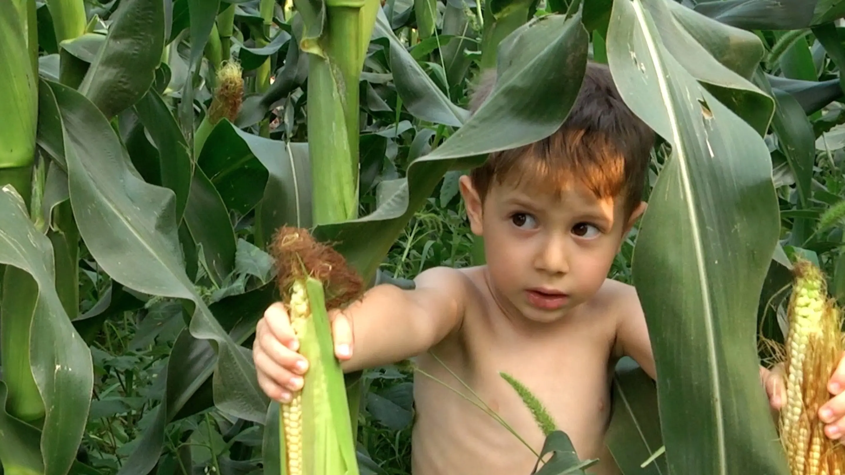 The Fountain backdrop