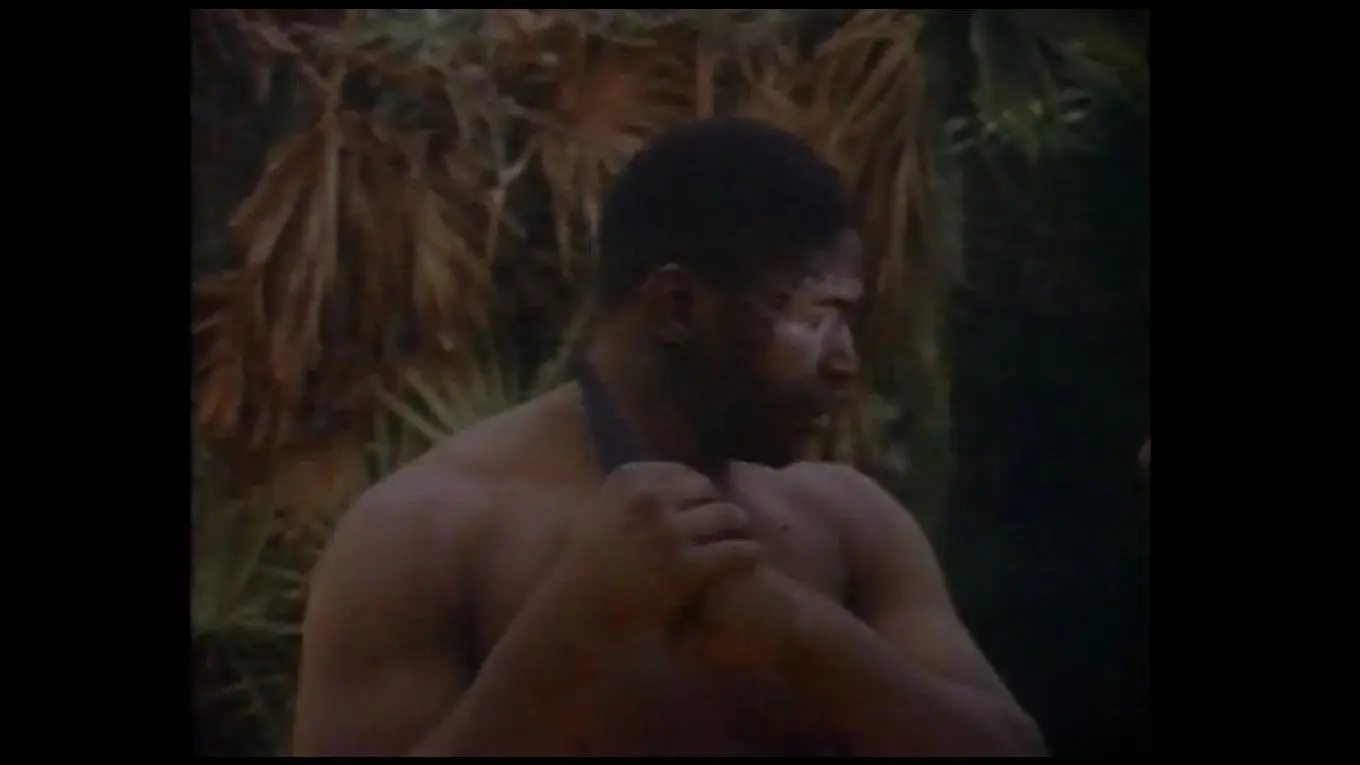 Faces of Death IV backdrop