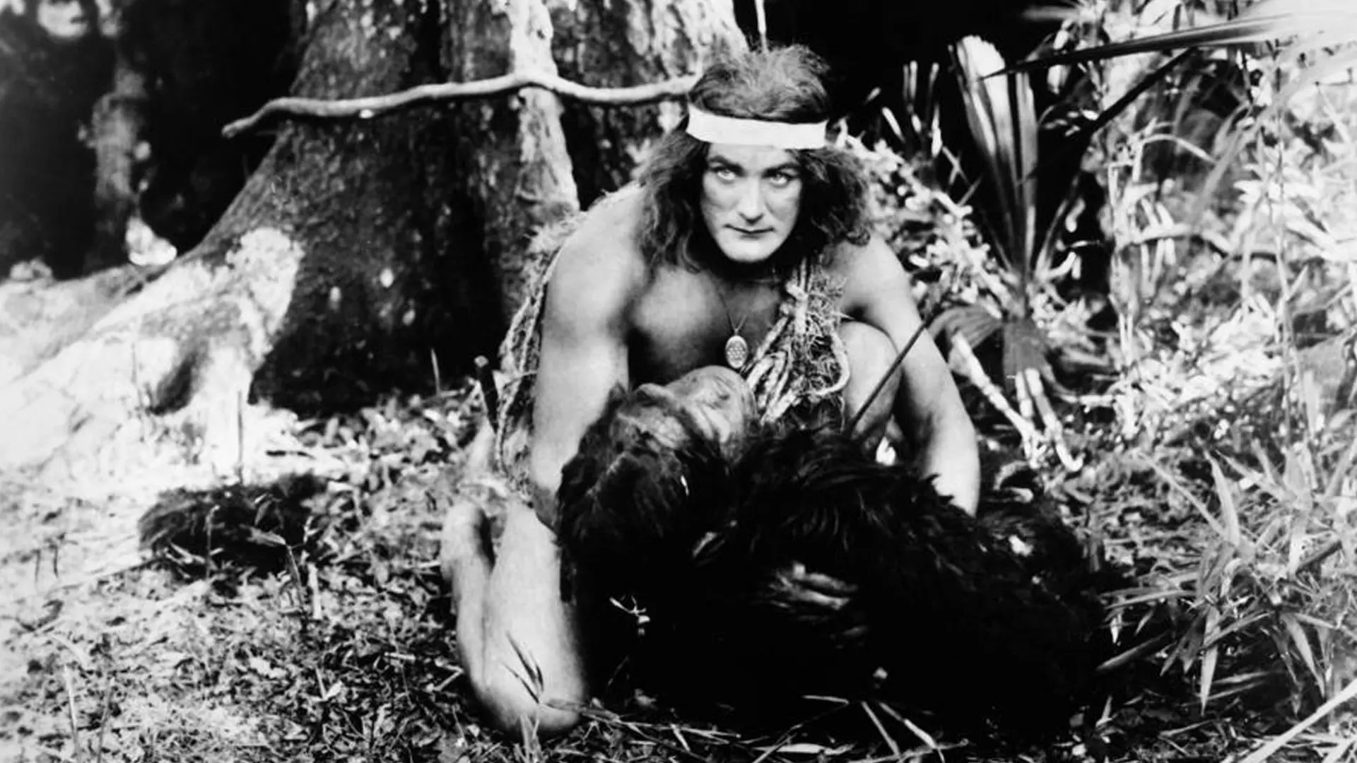 Tarzan of the Apes backdrop