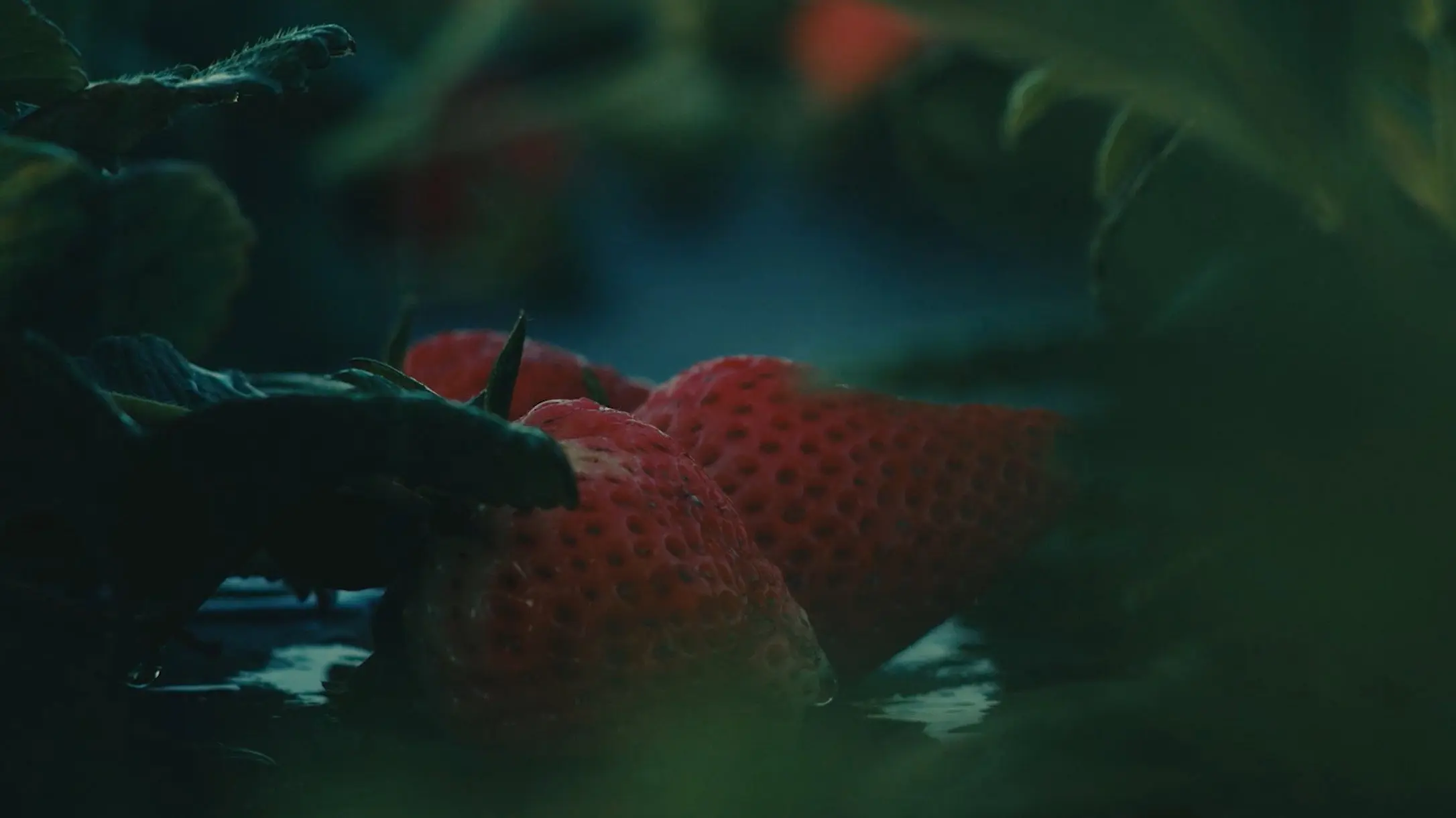 The Ballad of Tita and the Machines backdrop